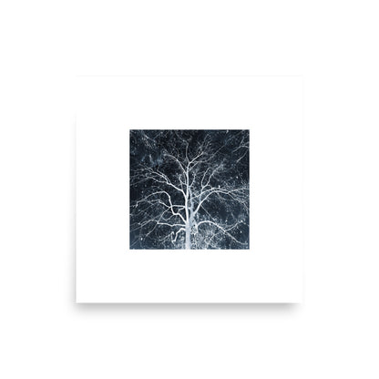 Tree of life Print